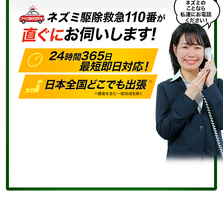 ネズミ駆除救急110番が直ぐにお伺いします！24時間365日 最短即日対応！日本全国どこでも出張