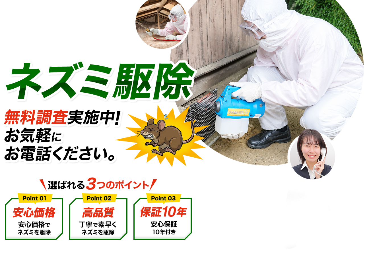 ネズミ駆除 無料調査実施中！お気軽にお電話ください。