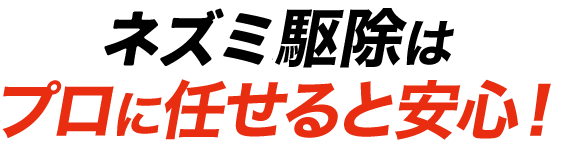 ネズミ駆除はプロに任せると安心！
