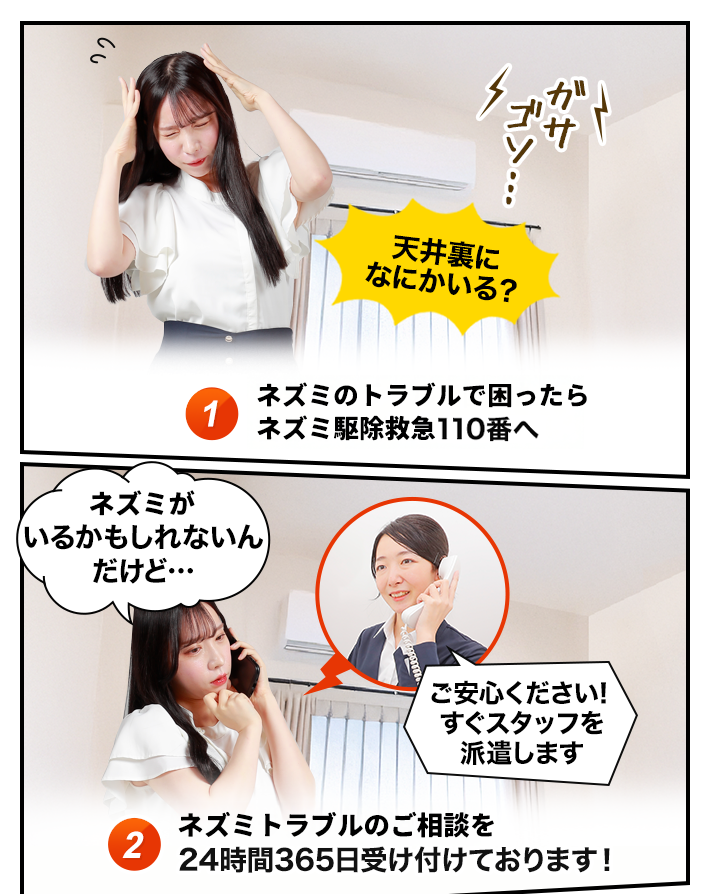 ネズミのトラブルが発生～相談するイメージ