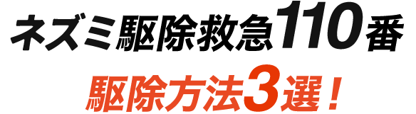 ネズミ駆除救急110番駆除方法3選！