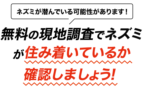 無料の現地調査でネズミが住み着いているか確認しましょう！
