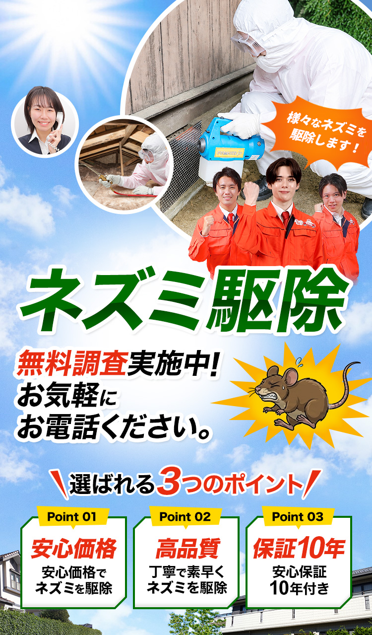ネズミ駆除 無料調査実施中！お気軽にお電話ください。