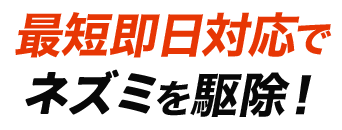 ポイント01:最短即日対応でネズミを駆除