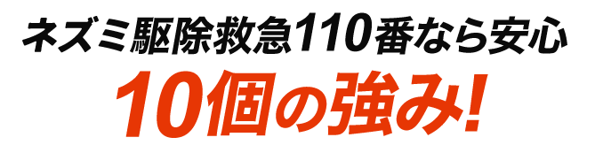 ネズミ駆除救急110番なら安心！10個のお約束!