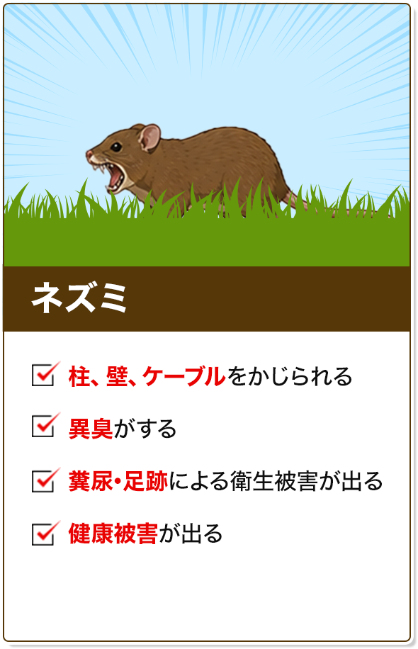 ネズミ
