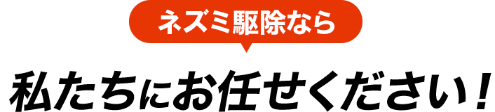 ネズミ駆除なら私たちにお任せください！