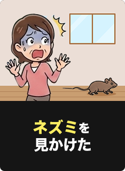 動物を見かけた