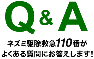 Q&A ネズミ駆除救急110番がよくある質問にお答えします！
